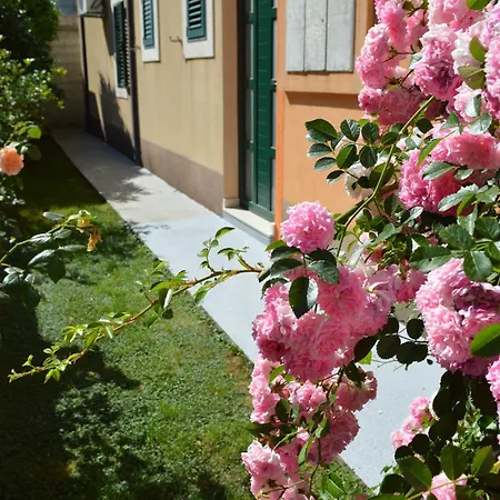 Appartamento Garden View Makarska